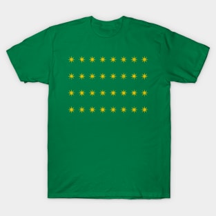 Fenian Brotherhood County Stars Flag T-Shirt